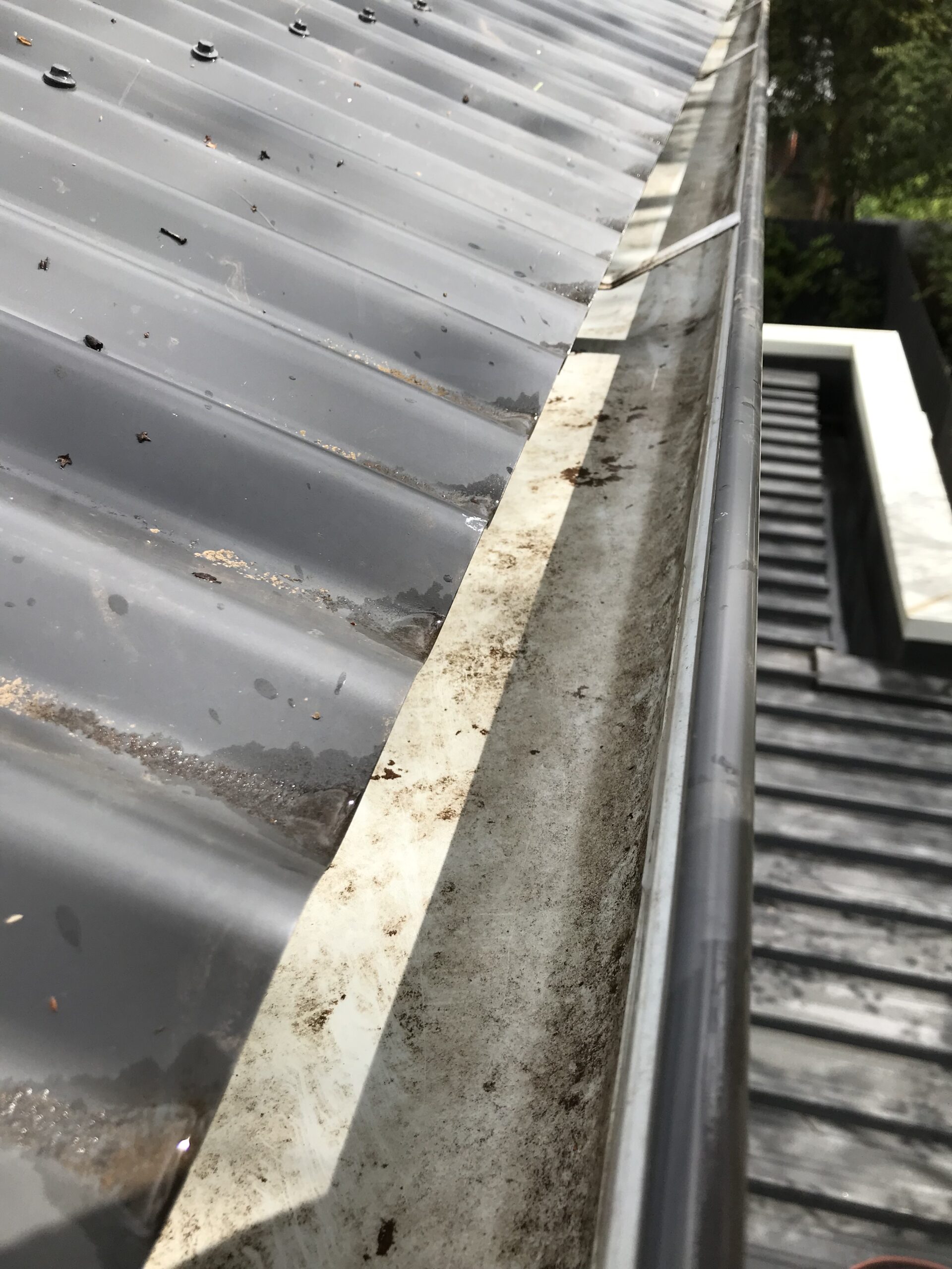 best roof gutter vac cleaning