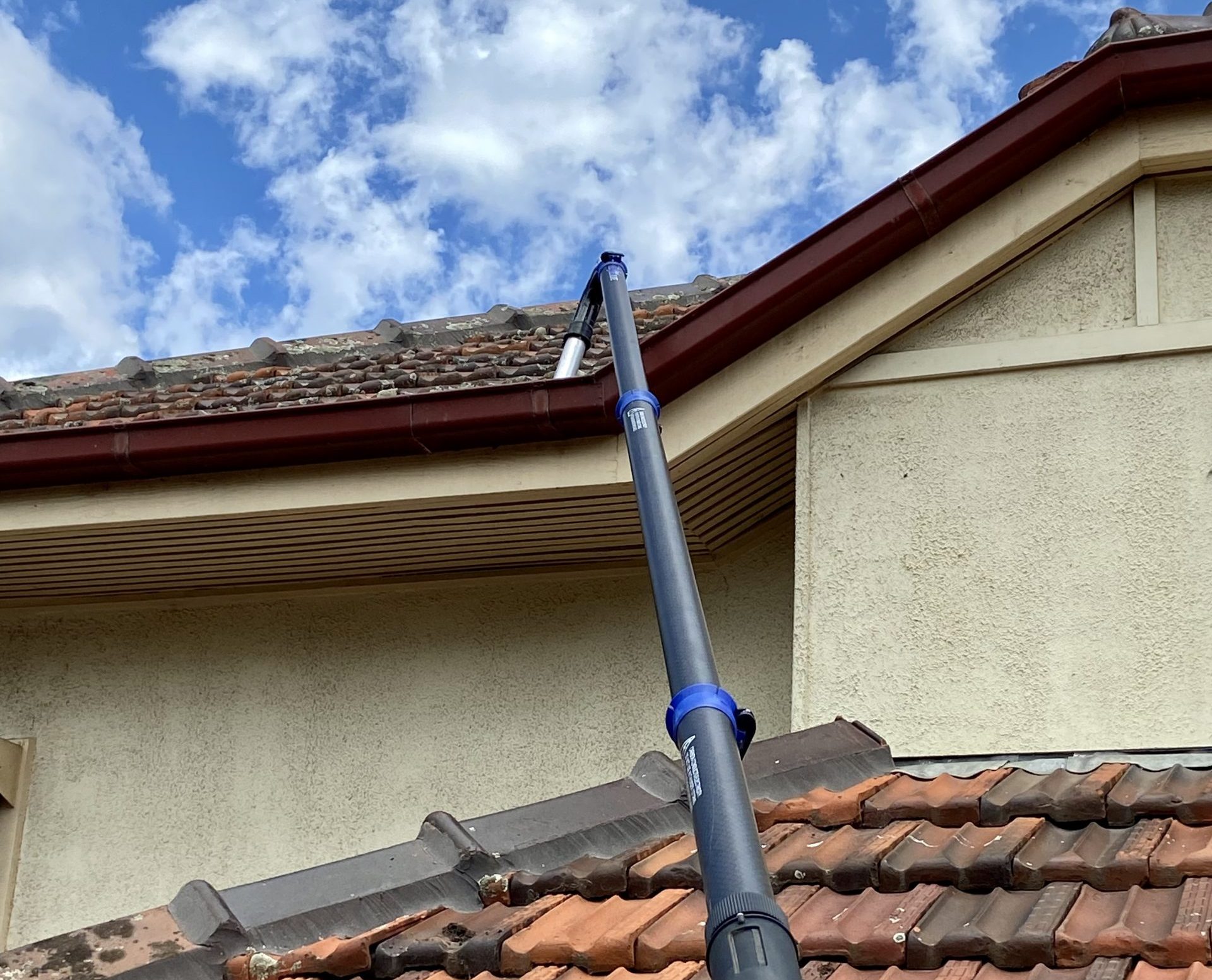 gutter and windows cleaning