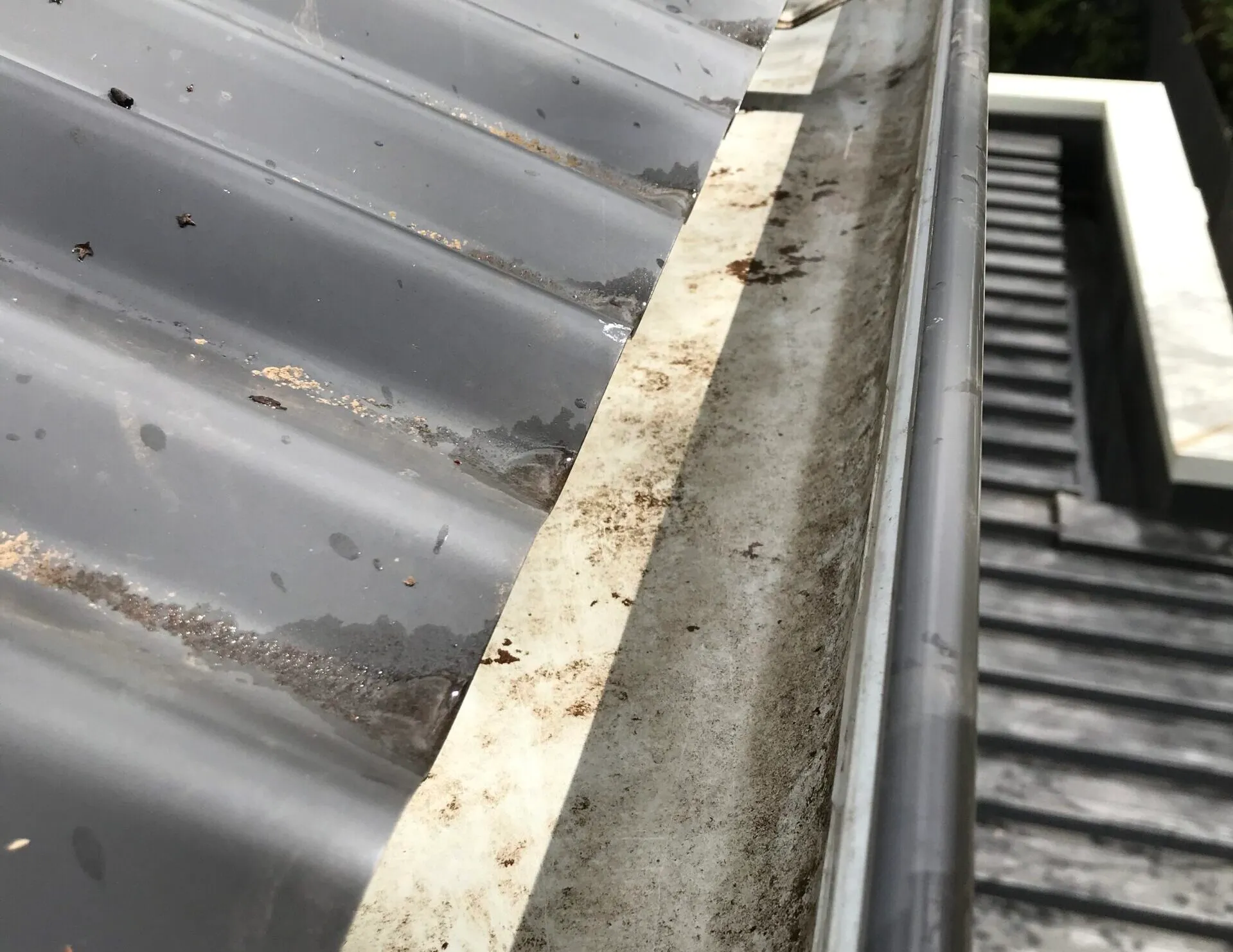 roof gutter cleaning in melbourne
